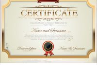 Certificate Template Royalty Free Vector Image for Commemorative Certificate Template