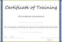 Certificate Template Training  – Elsik Blue Cetane inside Template For Training Certificate