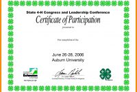 Collection Of Solutions For Conference Participation Certificate in Conference Participation Certificate Template