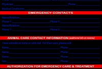 Emergency Contact Card Template New In Case Emergency Card Template for In Case Of Emergency Card Template