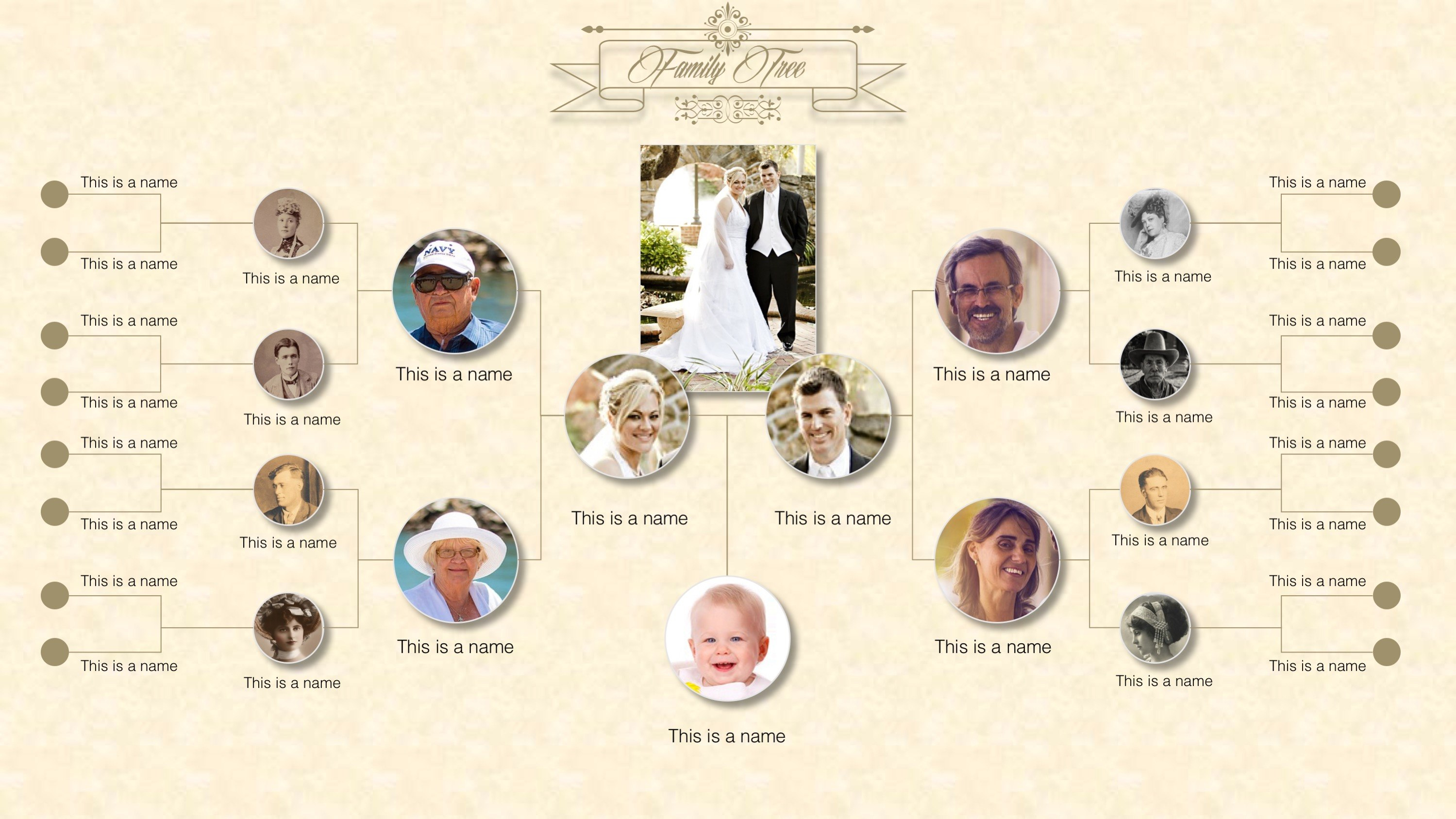 Family Tree Powerpoint Templates  Slidemodel regarding Powerpoint Genealogy Template
