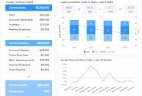 Financial Dashboards  Examples  Templates To Achieve Your Goals in Liquidity Report Template