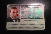 Flawless Fake Id  European Fake Id And Eu Fake Driving Licences pertaining to French Id Card Template