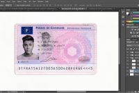 French Driver License Permis De Conduire Psd Template  Psd pertaining to French Id Card Template