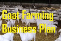 Livestock Business Plan Template ~ Tinypetition inside Livestock Business Plan Template