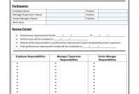 Performance Improvement Plan Templates  Examples  Leadership intended for Improvement Report Template