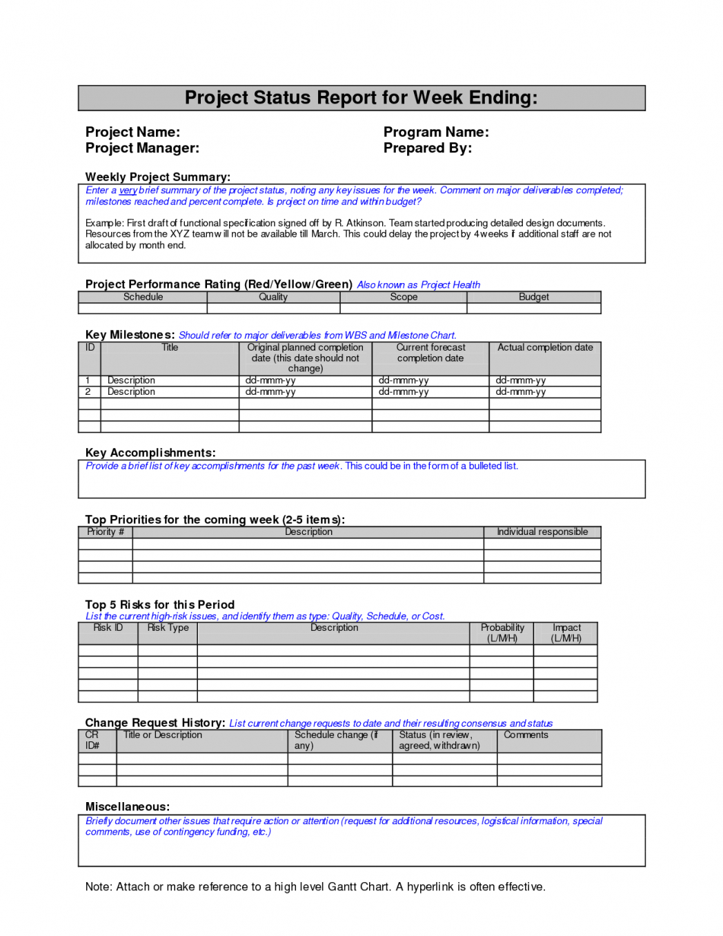 Project Management Report Template Audit Example Weekly Status Ppt with Weekly Progress Report Template Project Management