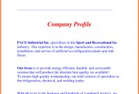 Sample Company Profile For Small Business  Company Letterhead for Company Profile Template For Small Business