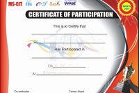 Sports Certificates Templates Free Download – Emelinespace with Sports Day Certificate Templates Free