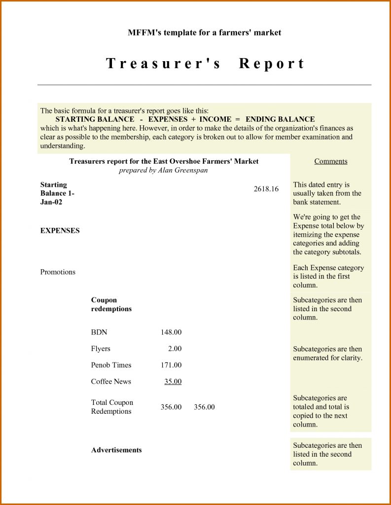 Template Ideas Non Profit Treasurer Report Sample Treasurers For with