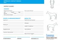 Travel Confidently  News At Cummings School Of Veterinary Medicine with Horse Stall Card Template