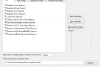 Updating The Visual Reports In Ms Project  And   The pertaining to Ms Project 2013 Report Templates