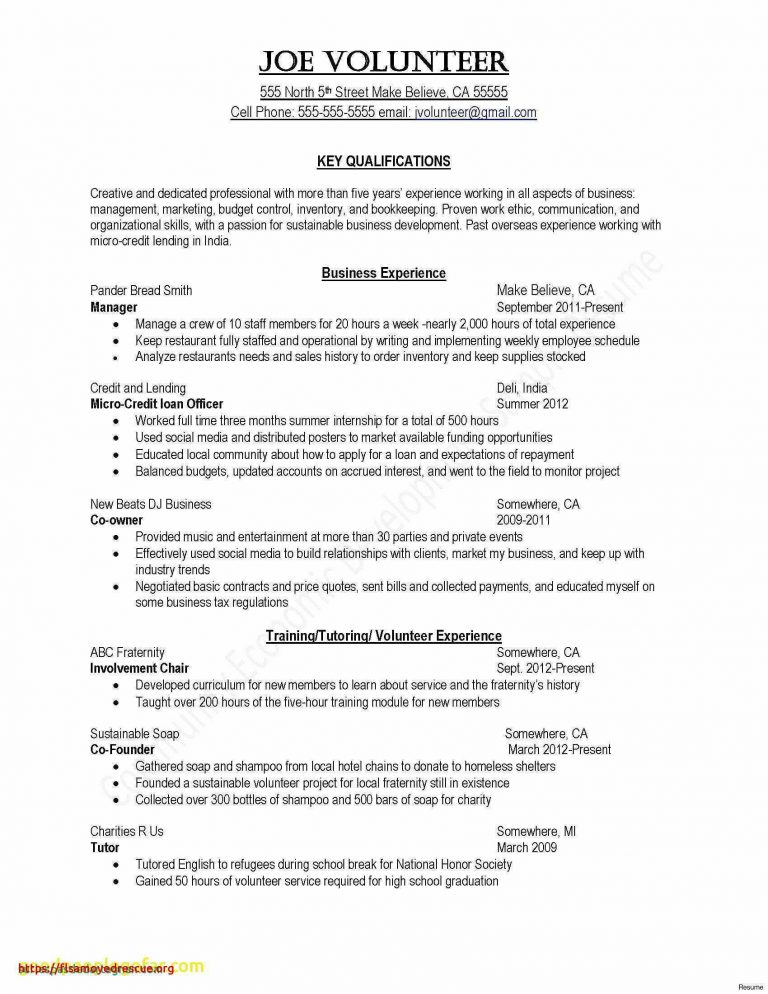 Music Business Plan Template Free Download 10  Professional Templates