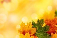 Yellow Autumn Backgrounds For Powerpoint  Nature Ppt Templates inside Free Fall Powerpoint Templates
