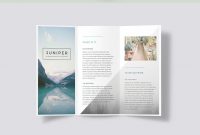 A Beautiful Multipurpose Trifold Dl Brochure Template Indesign Indd with Tri Fold Brochure Template Indesign Free Download