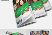 Attractive Education A Tri Fold Brochure Template  Free  Premium for Tri Fold School Brochure Template
