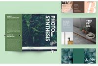 Brochures Free Brochure Template Downloads Surprising Ideas Tri throughout Free Brochure Templates For Word 2010