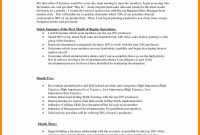 Business Plan Sales Manager For Interview Special Template with Business Plan For Sales Manager Template