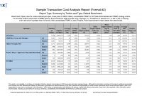Business Transaction Cost Analysis Report Example For Your in Business Analyst Report Template