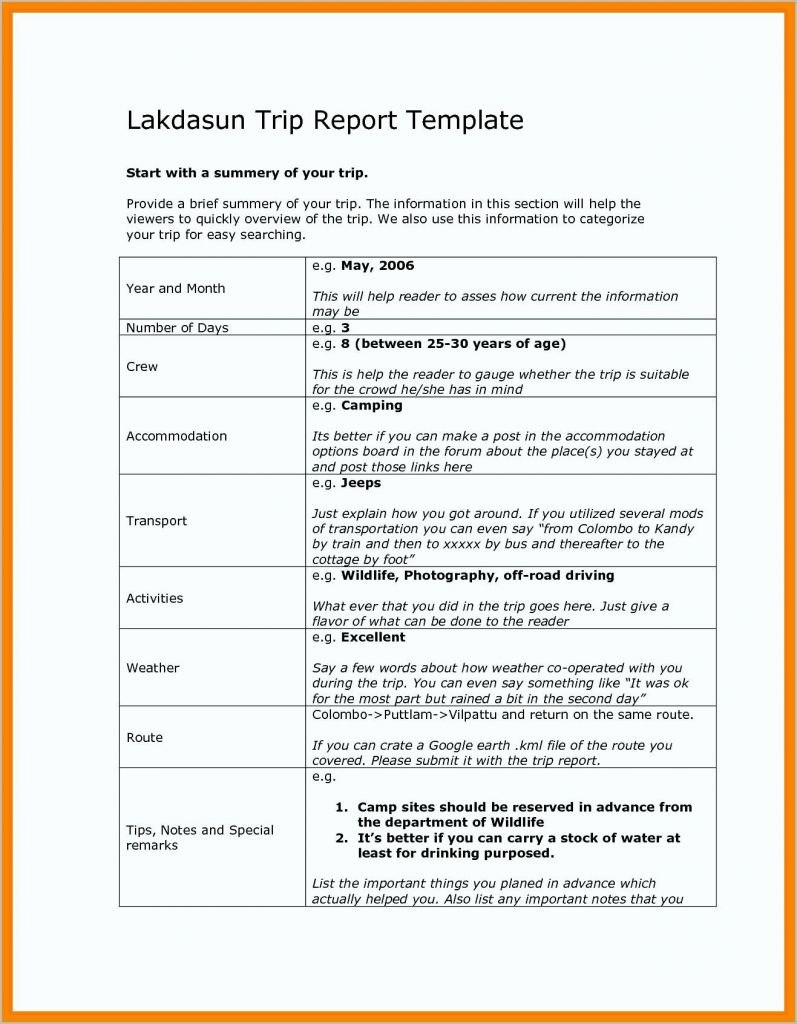 Business Trip Report Examples  Pdf Word Apple Pages  Examples for Business Trip Report Template