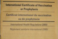 Carte Jaune  Wikipedia with Certificate Of Vaccination Template