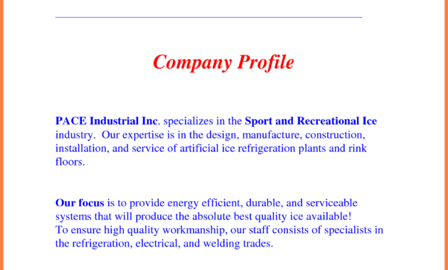 Company Business Profile Sample  Company Letterhead with Simple Business Profile Template