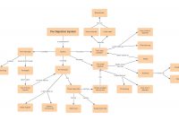 Concept Map Templates And Examples  Lucidchart Blog with Blank Body Map Template