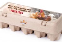 Custom  Templated Egg Carton Labels  Cut Sheet Labels for Egg Carton Labels Template