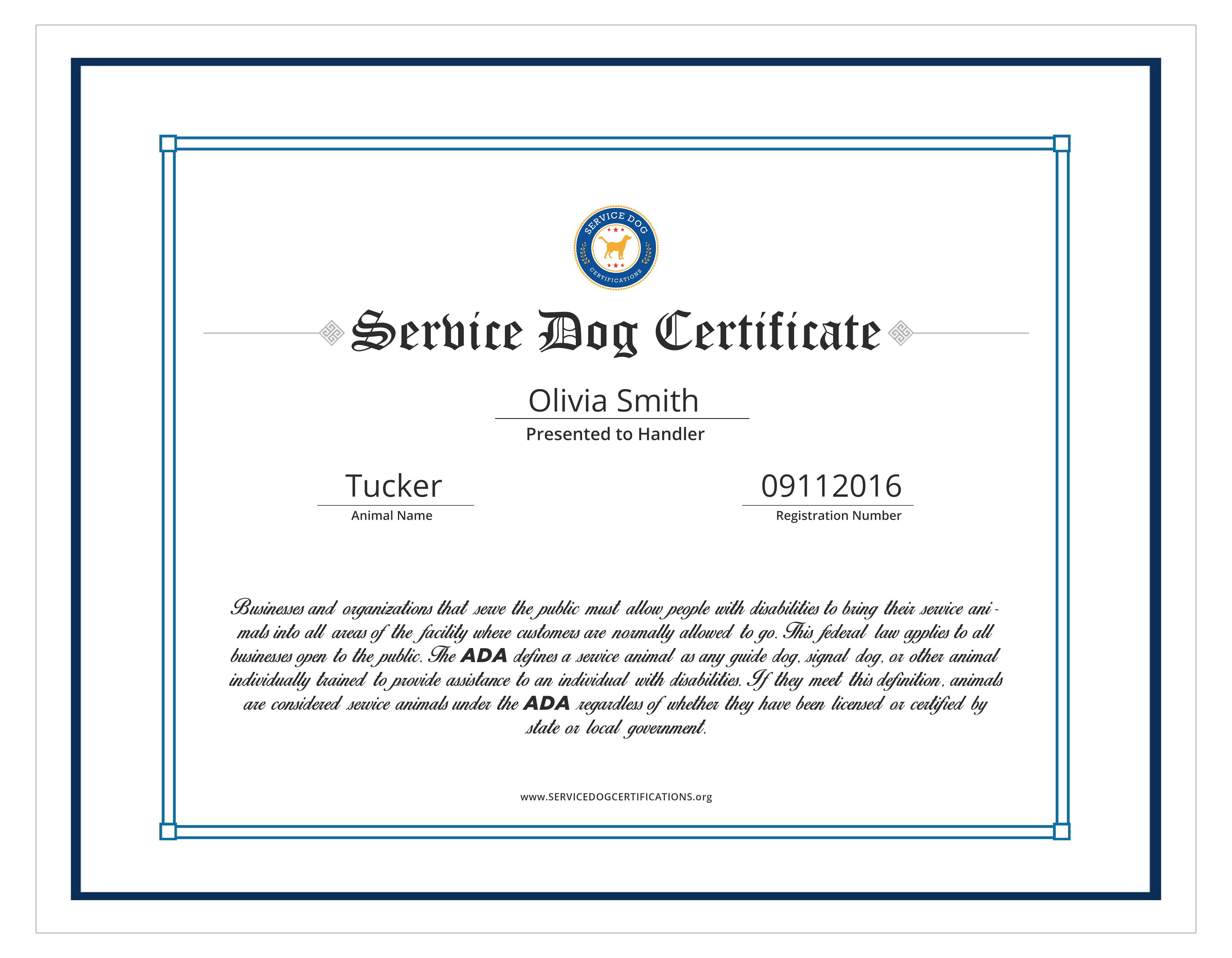 Dog Certificate Mock Fresh Free Service Dog Certification Download throughout Service Dog Certificate Template