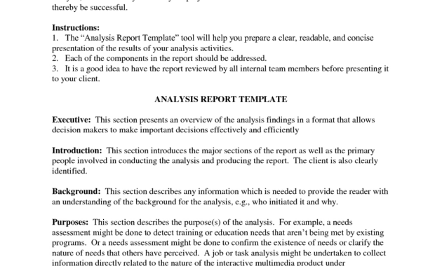 Excellent Business Analysis Report Format And Sample  Violeet with regard to Project Analysis Report Template