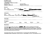 Fake Police Report Template Incredible Ideas Free ~ Nouberoakland throughout Fake Police Report Template