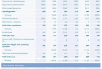 Financialstatementsformatinexcelandmonthlyfinancialreport within Financial Reporting Templates In Excel