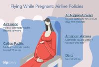 Flying While Pregnant Check Out The Policies On  Global Airlines inside Fit To Fly Certificate Template