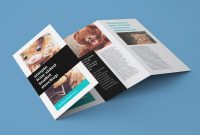 Fold Brochure Template As Well Adobe Illustrator With Plus Word inside 4 Fold Brochure Template Word