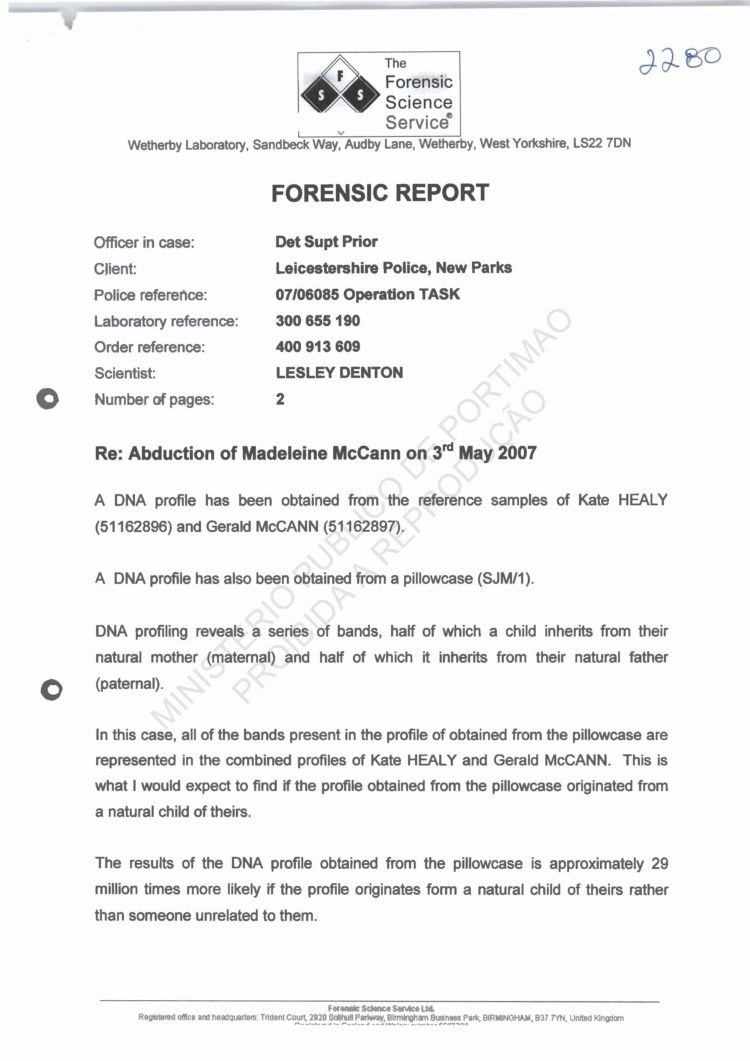 Forensic Report Example  Financialstatementform throughout Forensic Report Template