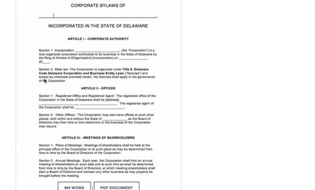 Free Delaware Corporate Bylaws Template  Pdf  Word  Youtube for Corporate Bylaws Template Word