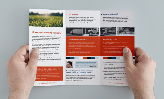 Free Trifold Brochure Template In Psd Ai  Vector  Brandpacks intended for Tri Fold Brochure Ai Template