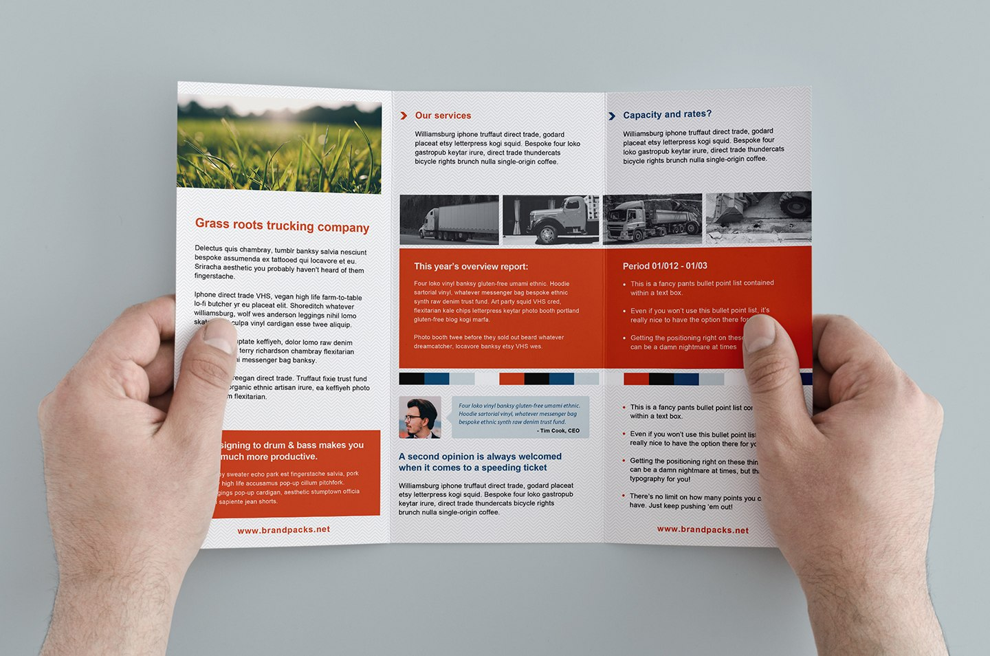 Free Trifold Brochure Template In Psd Ai  Vector  Brandpacks intended for Tri Fold Brochure Ai Template