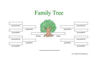 Images Of Generation Family Tree Template  Helmettown with Blank Family Tree Template 3 Generations