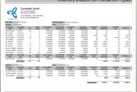 Inventory Report within Stock Analysis Report Template