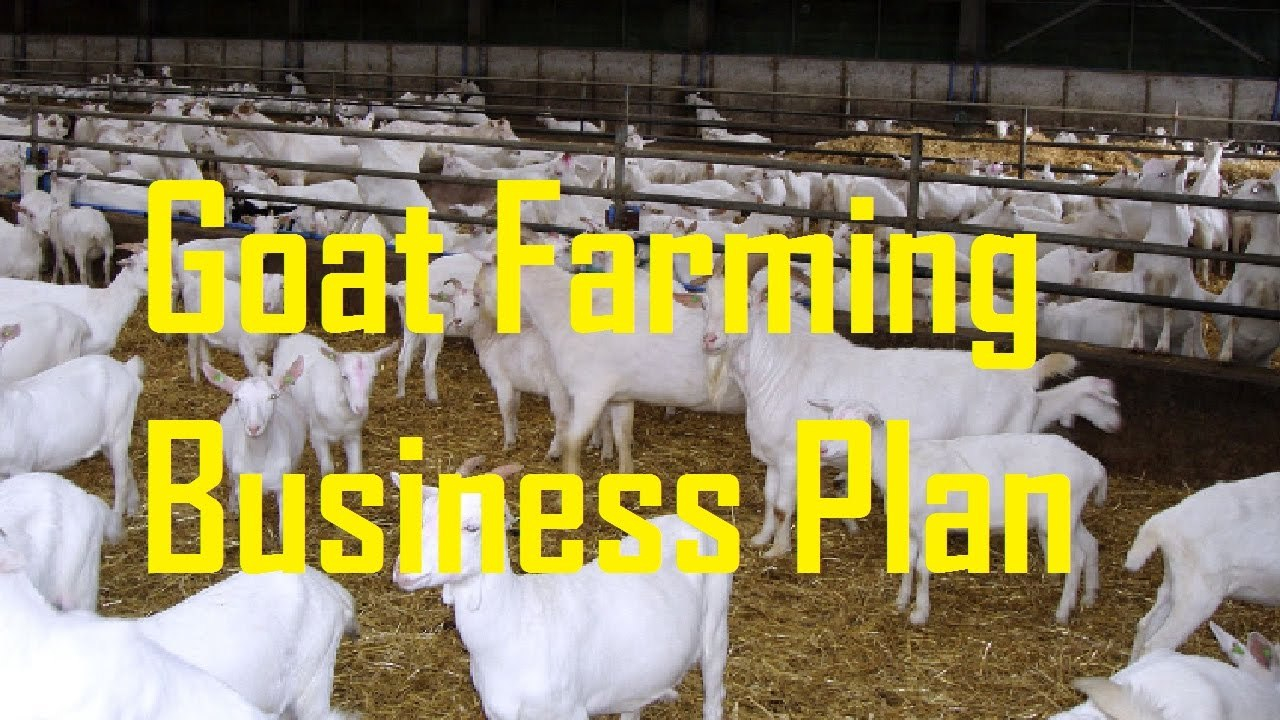 Livestock Business Plan Template ~ Tinypetition inside Livestock Business Plan Template
