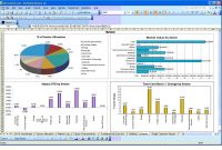 Management Report Strategies Like The Pros  Excel Dashboard  Sales for Sales Manager Monthly Report Templates