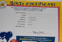 Missys Product Reviews  Build A Bear Workshop My Little Pony pertaining to Build A Bear Birth Certificate Template