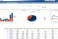 Oracle Airlines Data Model Sample Reports with Sales Analysis Report Template