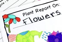 Plant Research Project  Report Writing Templates  My Tpt Products in Research Project Report Template