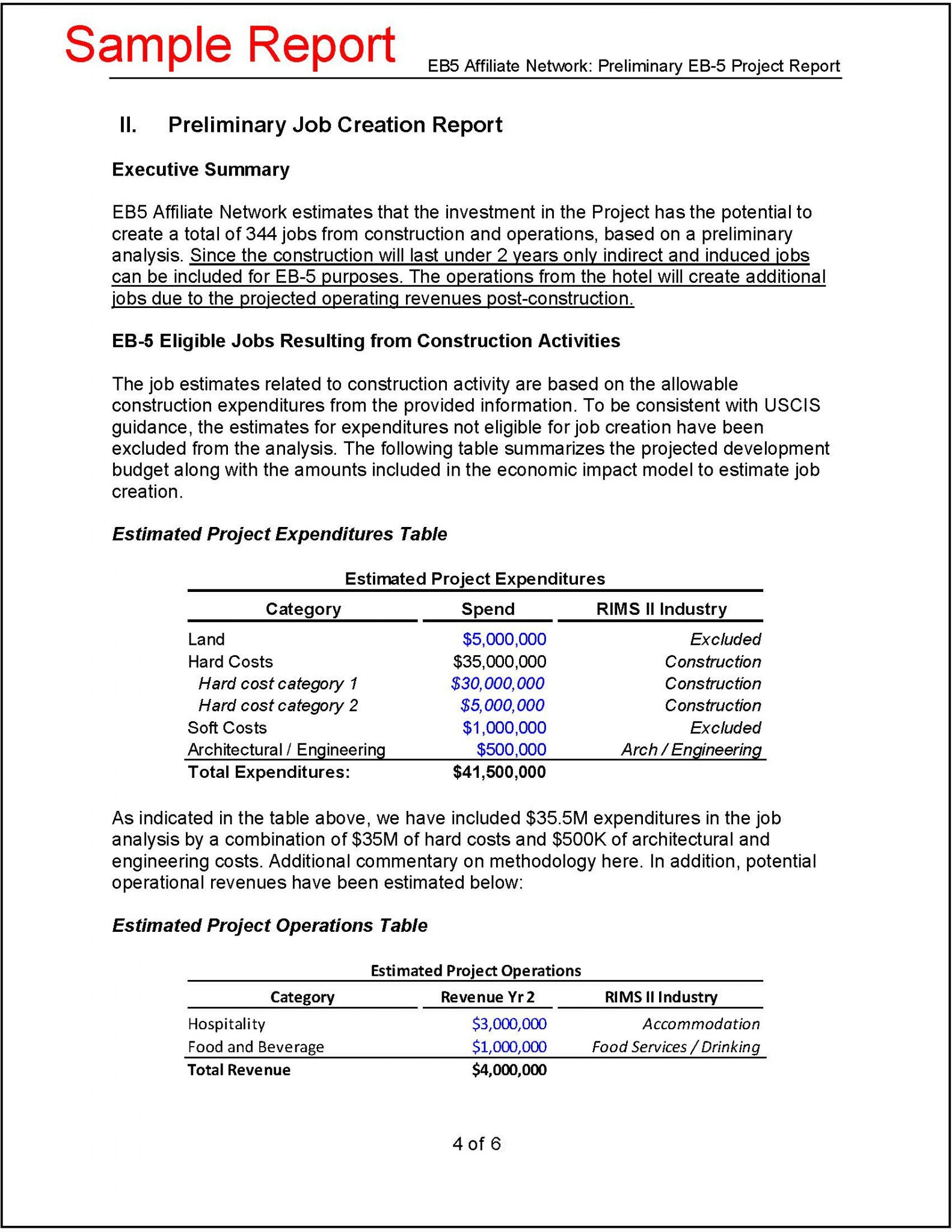 Preliminary Eb Project Report with Project Analysis Report Template