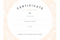 Pretty Fluffy for Pet Adoption Certificate Template