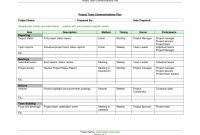Project Management Overview Template Plan Doc Executive Summary intended for Post Project Report Template