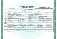 San Francisco Birth Certificate Template  Bah  Birth Certificate inside Fake Birth Certificate Template