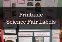 Science Fair Project Labels And Title Template Editable  Upper pertaining to Science Fair Labels Templates
